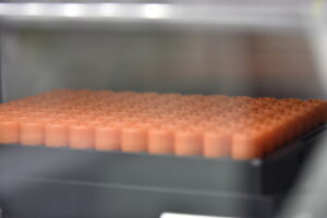 What Are ELSI in Biobanking?